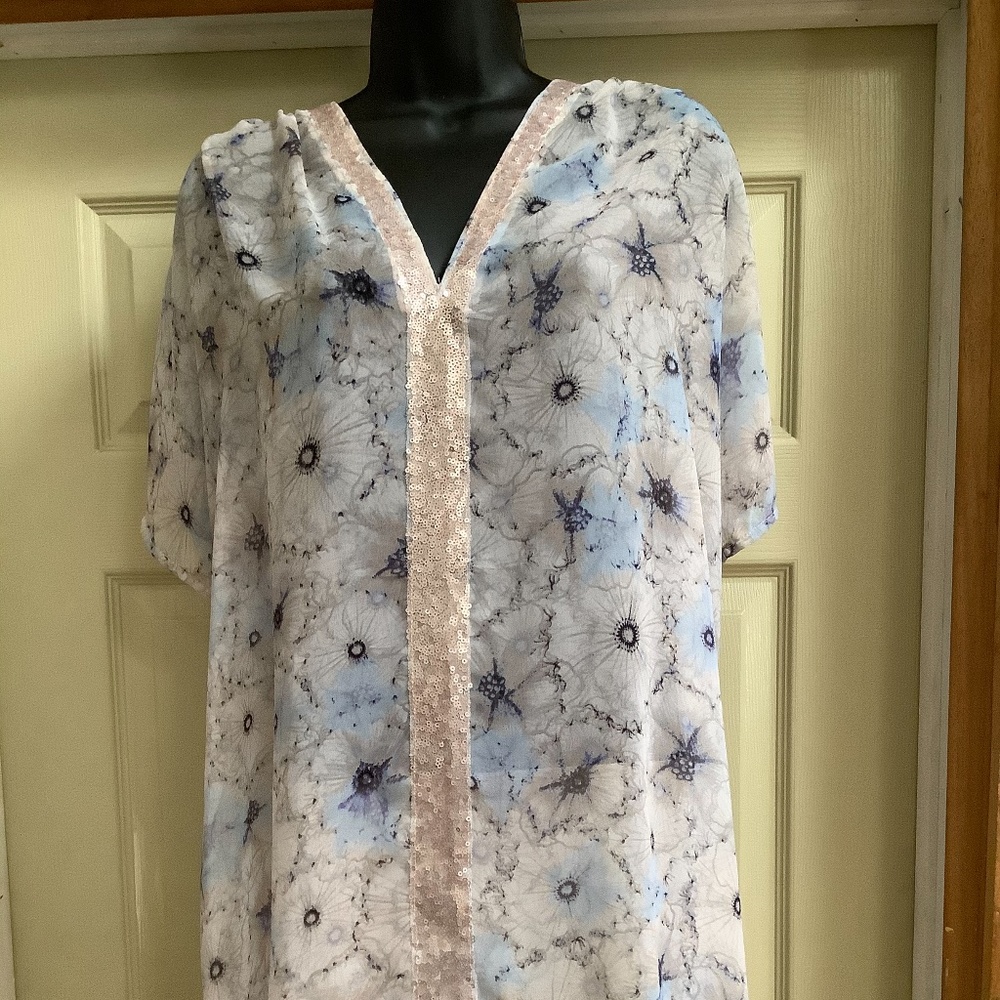 Anthropologie Blue Sheer Tunic